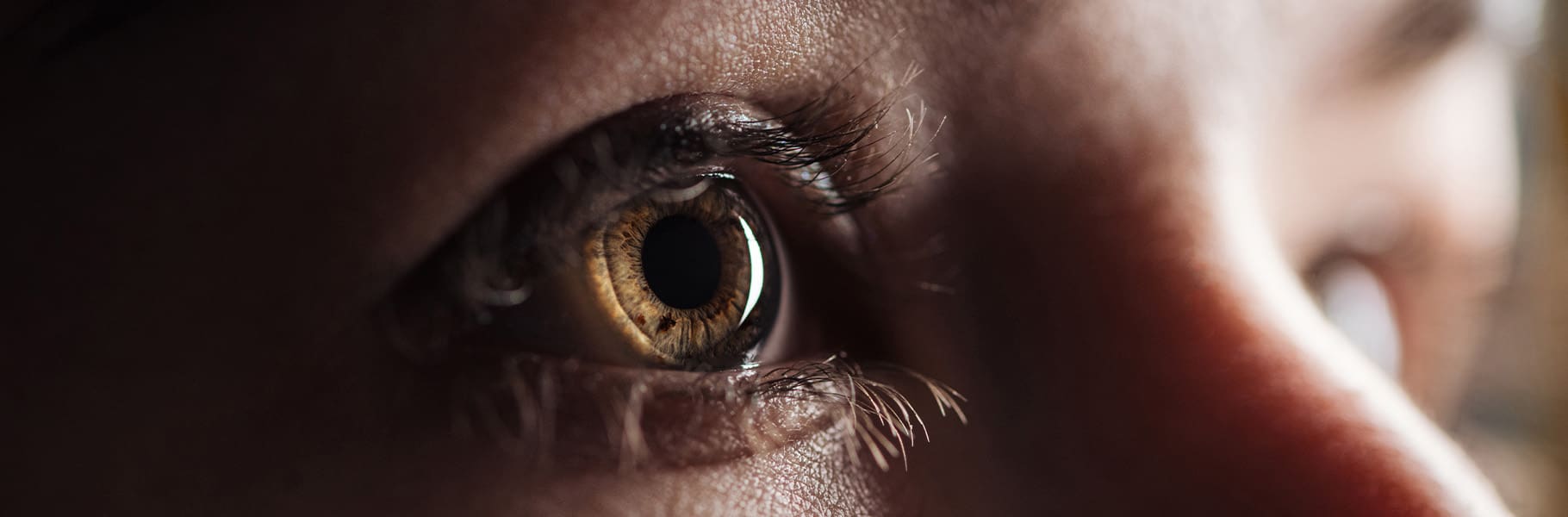 emdr
