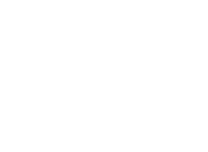 logo white